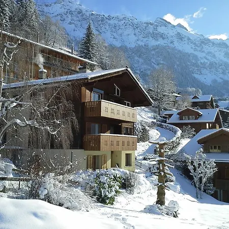 Chalet Gerbera Wengen Zimmer foto