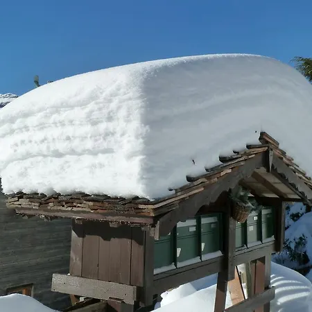Chalet Gerbera Wengen Exterior foto