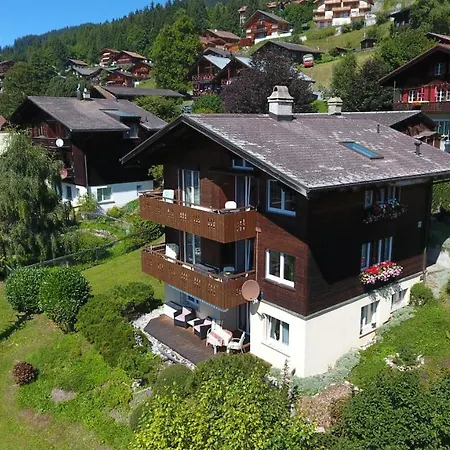 Chalet Gerbera Wengen Exterior foto