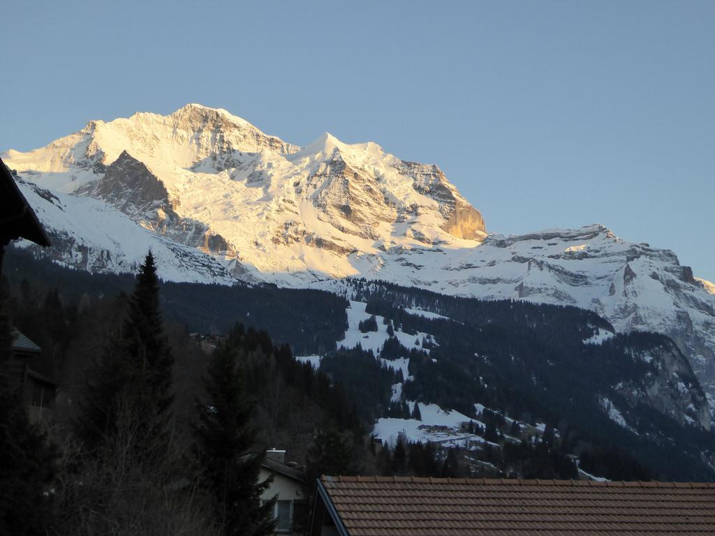 अपार्टमेंट Gerbera Wengen